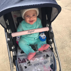 Baby Pink Belly Bar Cover